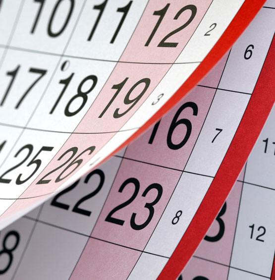 Sri Ganesh Calendars